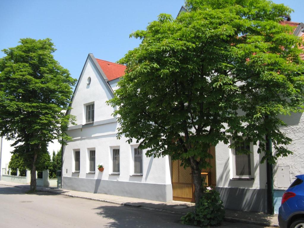 Stieglerhof Kg -Apartments Illmitz- Zewnętrze zdjęcie